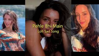 Pehle Bhi Main  Vishal Mishra  Lofi Song 2024 [upl. by Shantha777]