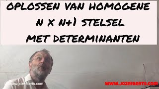 619 Homogeen n x n1 stelsel met determinanten [upl. by Euqnimod353]