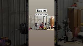 Wendler’s 531 Program 🦵day 16 topset of 5  accessory work gymrat gym squatworkout squats [upl. by Artened449]