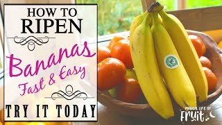 How To Ripen Bananas FAST amp EASY Try It Today [upl. by Yenterb]