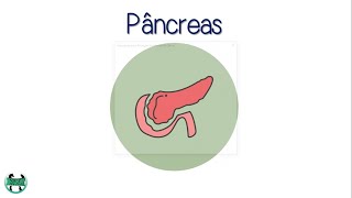 Aula 5  Fisiologia endócrina pâncreas  insulina Glucagon e Somatostatina  Humana e Veterinária [upl. by Klarika534]