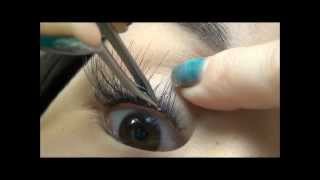 How to apply flare false eyelashes for a natural look [upl. by Allison]