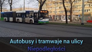 Autobusy i tramwaje na ulicy Niepodległości [upl. by Hildegard938]