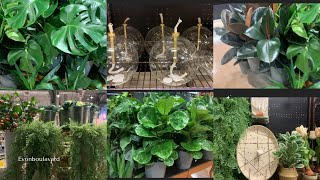 VLOG Monday Night Vlog Monstera Plants Plants Home DecorDaily Walks Mini Vlog [upl. by Sunshine]