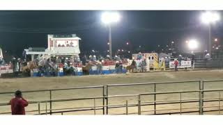 3 of a kind wild horse racesacaton AZ fair 2020 [upl. by Kurth679]