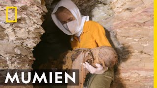 Das Geheimnis der Kindermumien  Tal der Könige Ägyptens verlorene Schätze [upl. by Ballard]