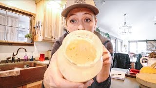 Is it DEAD Reviving my SOURDOUGH Starter [upl. by Cha]