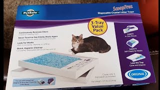 ScoopFree by PetSafe Self Cleaning Litter Box Review [upl. by Bazar]