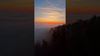 Autumn in the Wachau Austria 🇦🇹 🔥🤩 drone fog autumn nature sunset [upl. by Eelrahs]