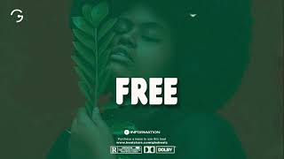 Amapiano Instrumental 2024 Zinoleesky x Young John Type Beat  quotFREEquot amapianotypebeat [upl. by Clere]