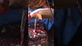 😱Fish Cutting Skills  Great Huge Bighead Carp Fish Cutting Live  shorts fish fishing food [upl. by Alegre]