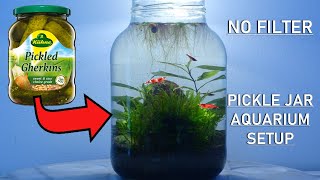 PICKLE JAR AQUARIUM  no filter no heater walstad method setup [upl. by Ttessil]