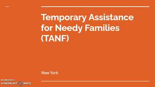 Temporary Assistance for Needy Families TANF NY Guide [upl. by Torp513]