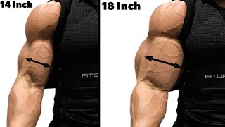 8 Greatest Bicep Exercises to Build Wider Biceps [upl. by Bascomb886]