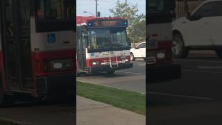 TTC 1128 on route 46 Martin Grove shorts [upl. by Nunnery]