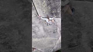 Amazing 40m trad route in Yosesigo Supersimpson climbing crackclimbing rockclimbing adventure [upl. by Dloniger641]