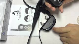 How To Set Up amp Pair Your Petraha Remote Dog Training Collar [upl. by Kaitlin]