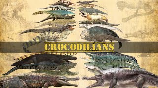 CROCODILIANS  Size Comparison Crocodiles alligators caimans amp gharial [upl. by Kessia991]