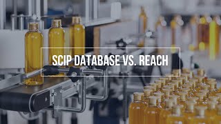 SCIP Database vs REACH SVHCs  A Comparison [upl. by Harleigh]