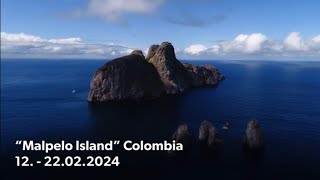 „Malpelo Island“ Colombia Diving with Friends 1222022024 [upl. by Ennaeel]