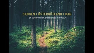 Skogen i Östergötland i dag [upl. by Neit]