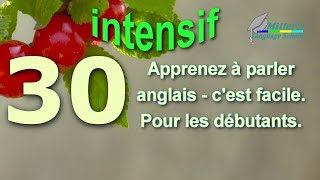 Votre formation gratuite en direct sur Internet pour parler anglais facilement [upl. by Aerdnac848]