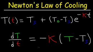 Newtons Law of Cooling Calculus Example Problems Differential Equations [upl. by Barde]