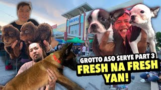 DAGSA NA NAMAN MGA PETS SA GROTTO  GROTTO PET MARKET UPDATE  NOVEMBER 17 2024 [upl. by Siriso146]