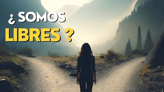 La Paradoja de la Libertad y el Determinismo ¿Somos Libres [upl. by Porche]