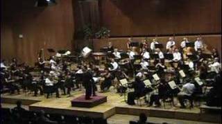 Brahms Symphony3 movement 3 [upl. by Warfore]