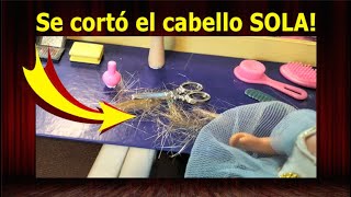 243 El Cabello de Mareli  Cuentos con valores muñecas miniaturas manualidades [upl. by Hinckley]