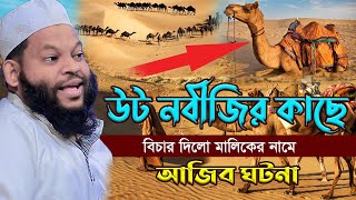 উট নবীজির কাছে বিচার দিলো মালিকের নামে আজিব ঘটনাক্বারী সাইদুল ইসলাম আসাদbangla waznew waz 2023 [upl. by Enyala]