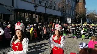 Narrentag in Offenburg am 27012024 [upl. by Lamej]