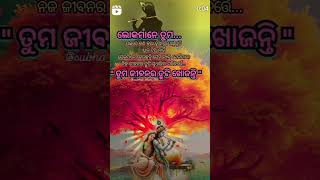 Odia best motivation quotes ❣💯❣shorts shortsfeed shortsviral shortsyoutube share shortslike [upl. by Ingamar]