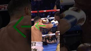 Breaking Down Teofimo Lopez’s TKO against Richard Commey [upl. by Ydda]