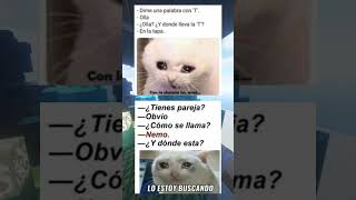 Memes de gatos 6 [upl. by O'Carroll]