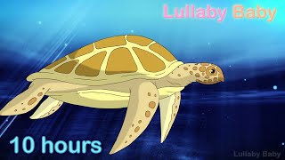 ☆ 10 HOURS ☆ UNDERWATER SOUNDS with MUSIC ♫ ☆ NO ADS ☆ Relaxing Sleep Music Stress Relief ☆ TURTLE [upl. by Maddi]