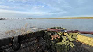 WILDFOWLING Ouse Washes  January 2024 [upl. by Klimesh274]