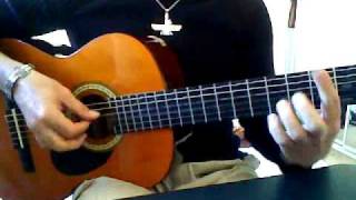 Ramtin Guitar Solo  Hedieh by Siavash Ghomeishi [upl. by Nola]