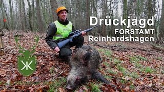 Drückjagd im Forstamt Reinhardshagen KampK Premium Jagd [upl. by Sheffield]