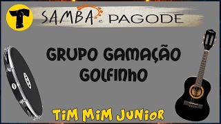 Grupo Gamação »» Golfinho com LETRA [upl. by Hanah]