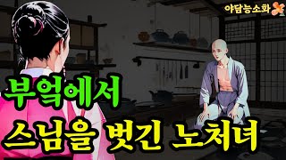 〔야담 능소화 051〕 노처녀에게 꼼짝없이 붙들려 버린 사또의 외동아들  괴담 전설 민담 설화 야담 드라마 옛날이야기 [upl. by Nitniuq852]