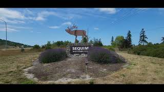 Sequim WA Lavender Festival Weekend [upl. by Yessydo42]