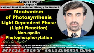 Light Reaction Noncyclic Photophosphorylation Lecture 8 Part2 Ch4 NBF Biology 1st Year [upl. by Zabrine]