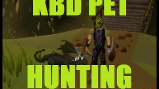 KBD Pet Hunting OSRS 2007 Runescape [upl. by Etom326]