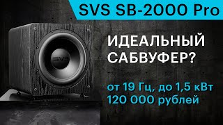 Идеальный сабвуфер до 120 тысяч рублей Обзор SVS SB2000 Pro [upl. by Gareri]