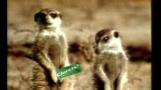 Meerkats tv ad  funniest ad ever [upl. by Kielty70]