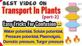 Best Lecture On quotTransport In Plantsquot🔥🔥 Part2  Neet 2022 amp Neet 2023  Class 11th Biology [upl. by Godard]