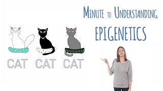 What is epigenetics [upl. by Eziechiele]