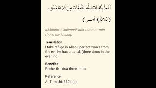 Powerful Evening Dua for Protection from Harm As Taught by the Prophet ﷺ [upl. by Ellinnet]